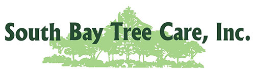 south-bay-tree-care-logo